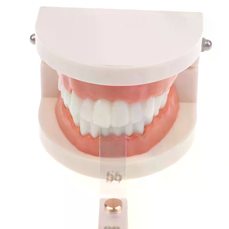 Righello di misurazione traspa - Ruler Set Transparent recensione e prezzo